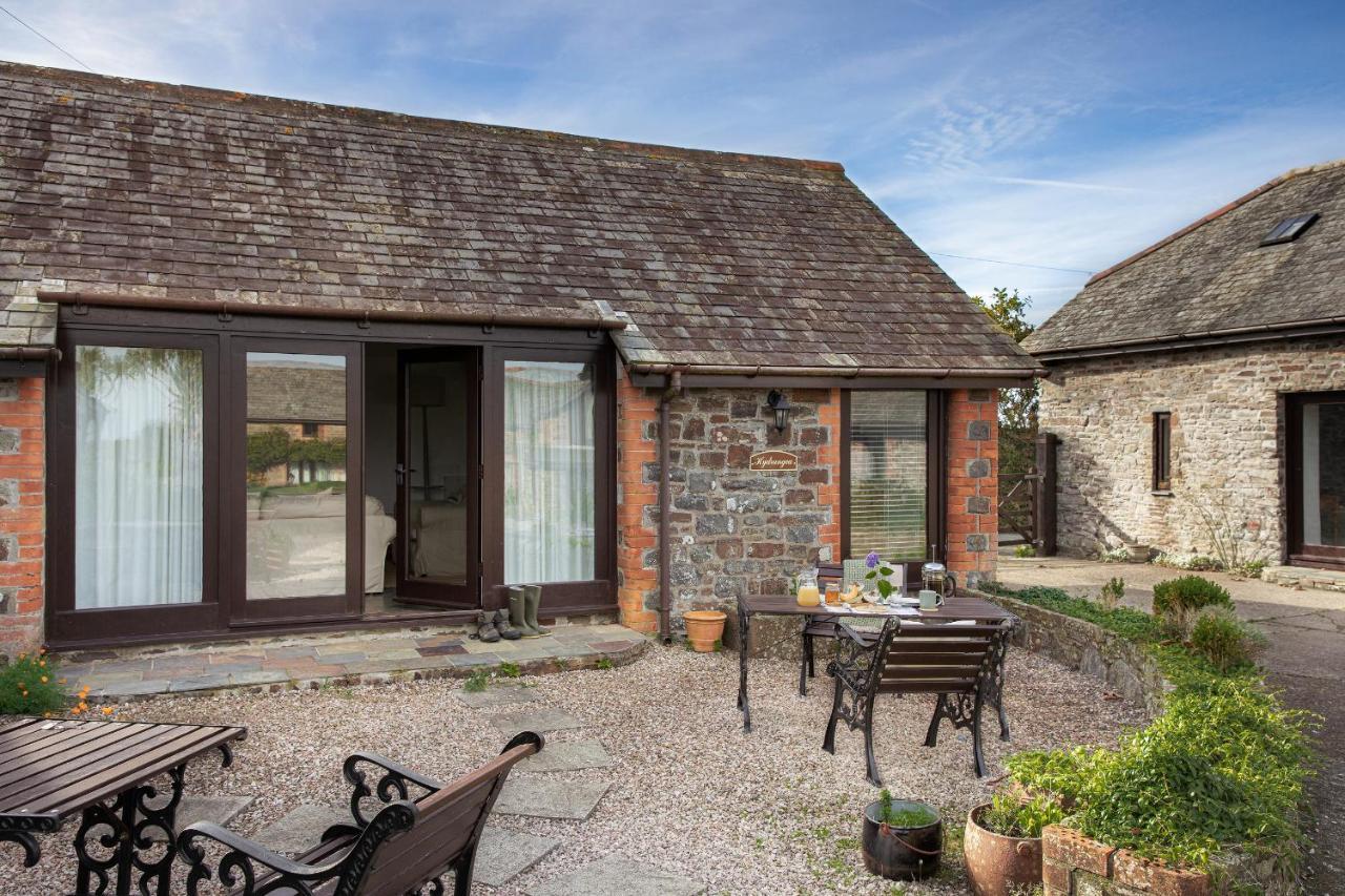 Downe Cottages Хартленд Экстерьер фото